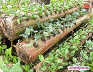 970292_10151525661302041_586598695_n